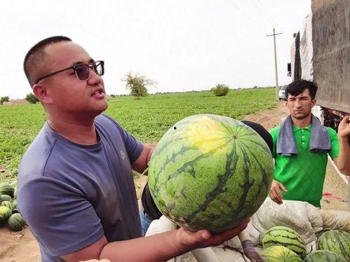 乌鲁木齐网络吃瓜群