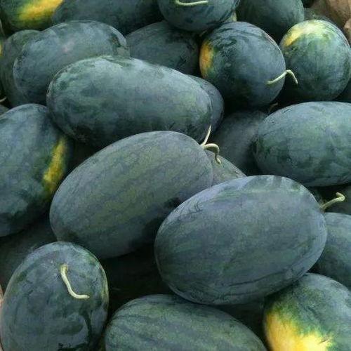 不停吃瓜的图片