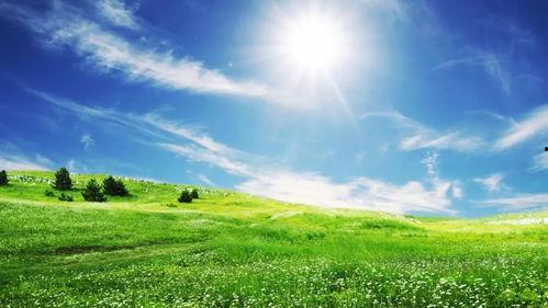 草地吃瓜的视频,夏日悠闲时光的完美诠释