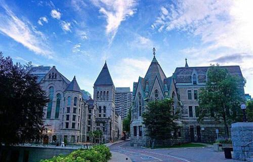 麦吉尔吃瓜,揭秘校园热辣事件背后的真相