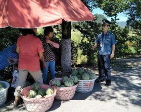 红楼吃瓜群众图文大全,揭秘大观园里的八卦风云