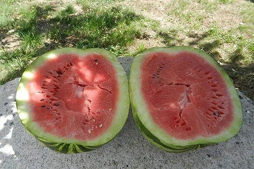 梦见带着小孩买瓜吃,带着小孩买瓜吃的奇幻之旅