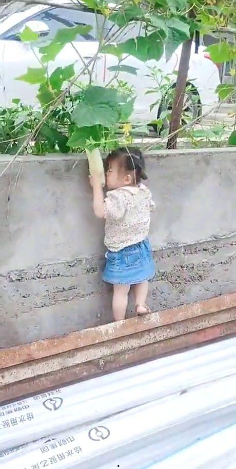 孩子偷瓜吃,童趣盎然的童年记忆