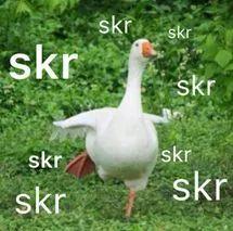 吃瓜了的意思是什么